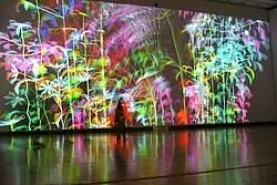 miguel chevalier artist — contemporary art — 21st c.